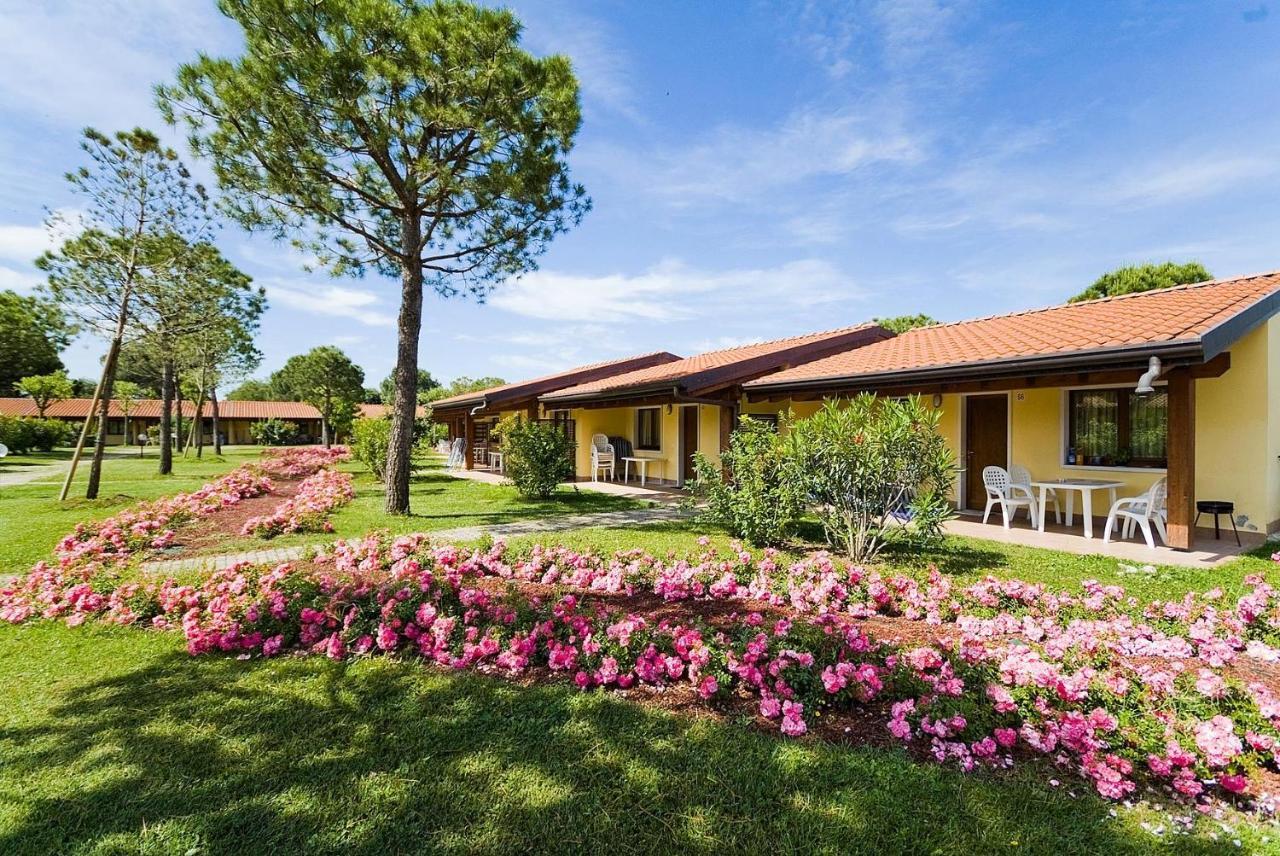 Campeggio Del Garda ペスキエーラ・デル・ガルダ エクステリア 写真